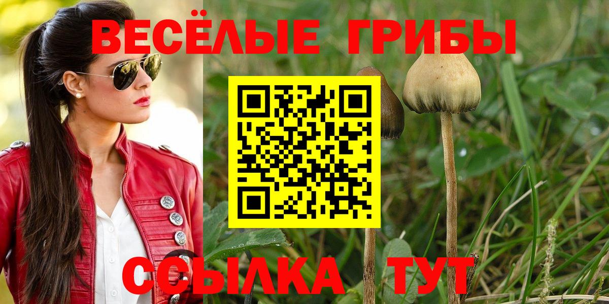 Майский  Галлюциногенные грибы мухоморы  Вход с VPN 