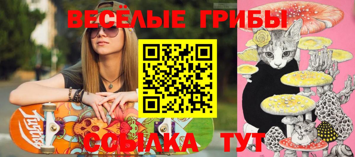 Галлюциногенные грибы прущие грибы Майский